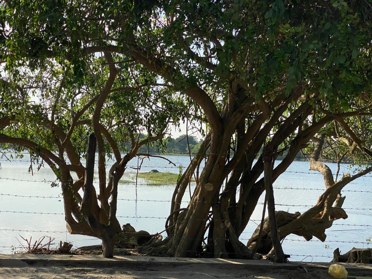 Yala Lake View Cabanas Tissamaharama Exterior foto