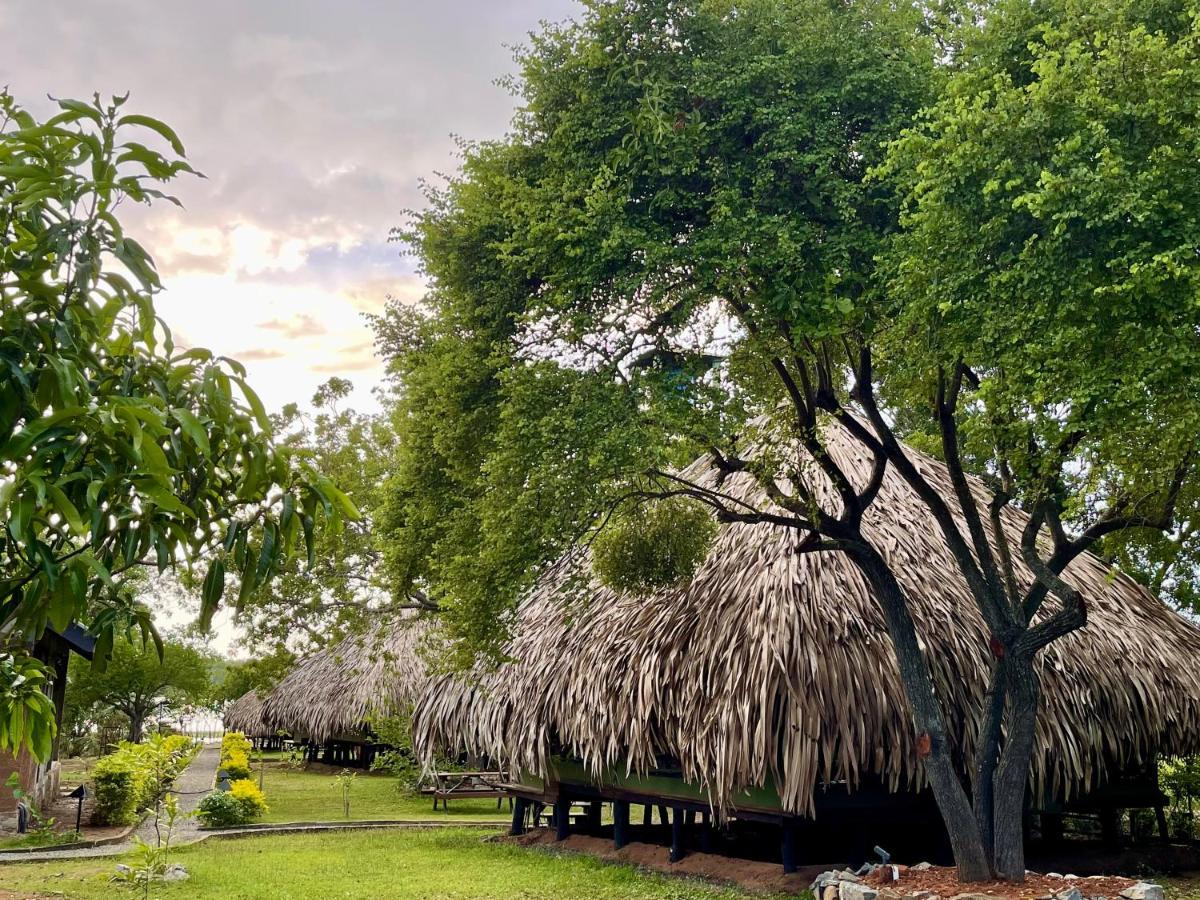Yala Lake View Cabanas Tissamaharama Exterior foto