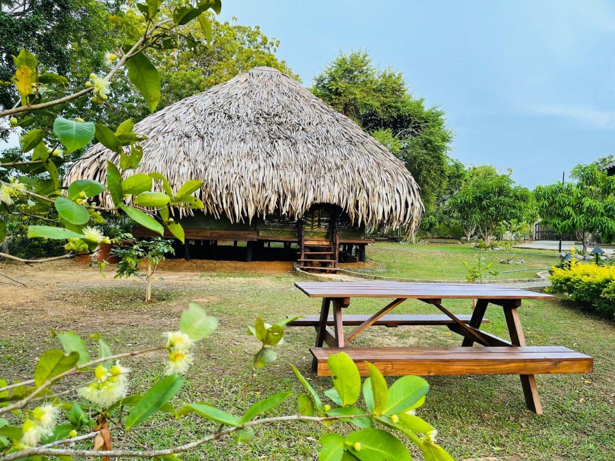 Yala Lake View Cabanas Tissamaharama Exterior foto