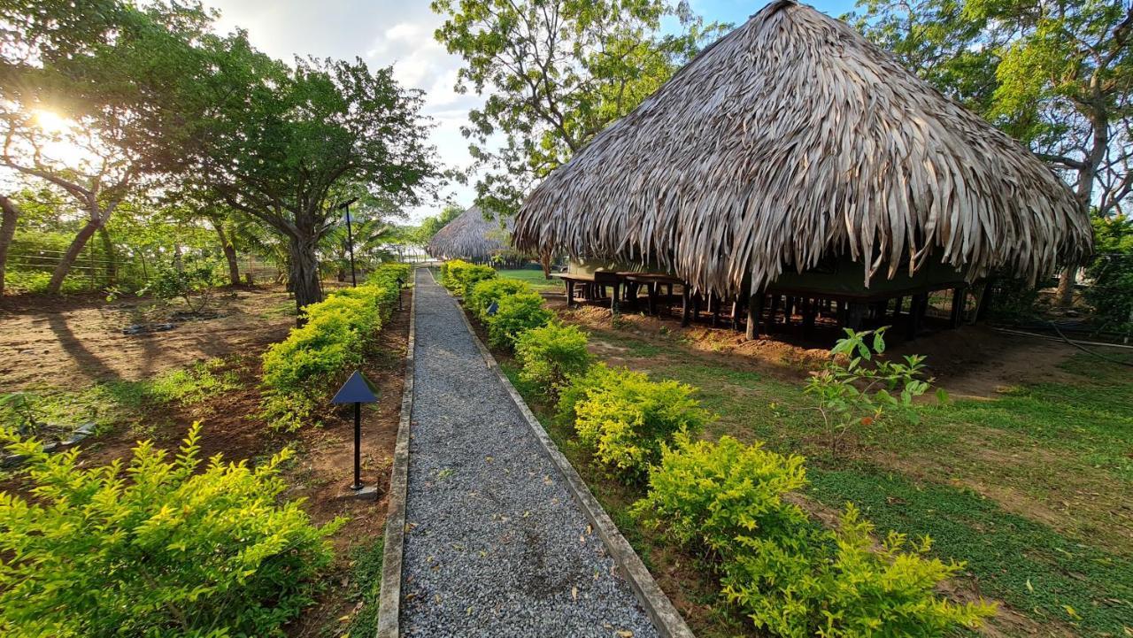 Yala Lake View Cabanas Tissamaharama Exterior foto